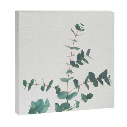 Eucalyptus Canvas Print Gallery Image 9