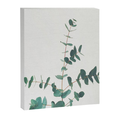 Eucalyptus Canvas Print Gallery Image 5