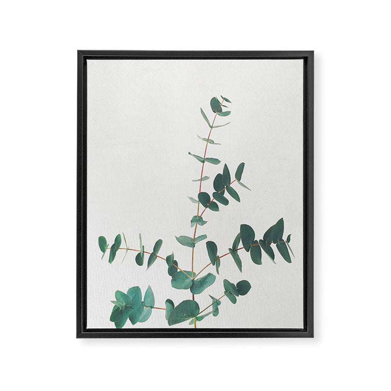 Eucalyptus Framed Canvas Print Gallery Image 8