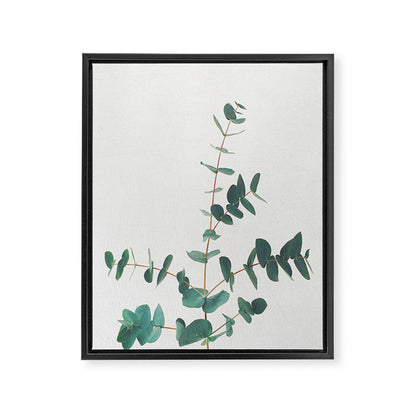 Eucalyptus Framed Canvas Print Gallery Image 1