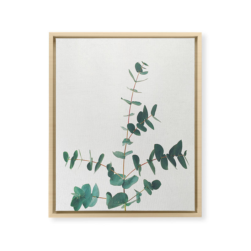 Eucalyptus Framed Canvas Print Gallery Image 25