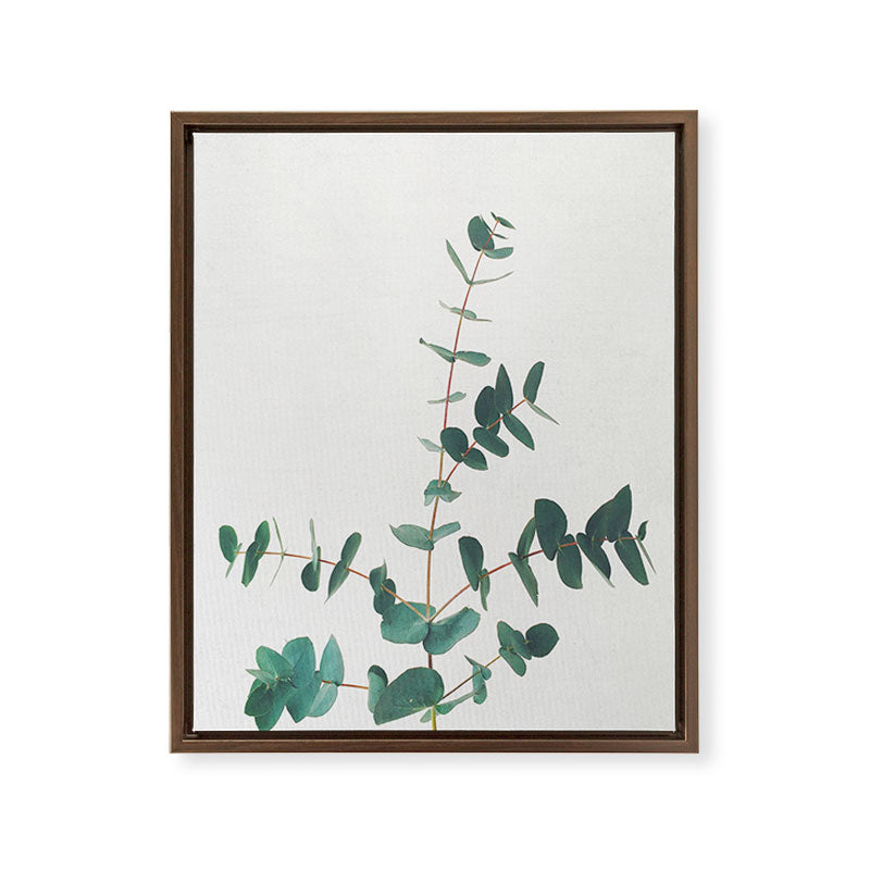 Eucalyptus Framed Canvas Print Gallery Image 10
