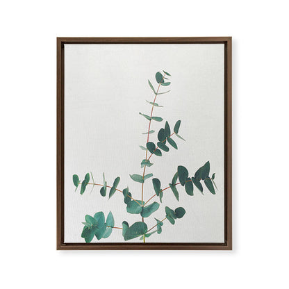 Eucalyptus Framed Canvas Print Gallery Image 12