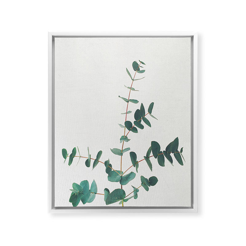 Eucalyptus Framed Canvas Print Gallery Image 31