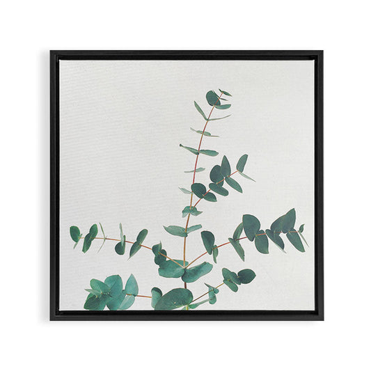 Eucalyptus Framed Canvas Print Gallery Image 2