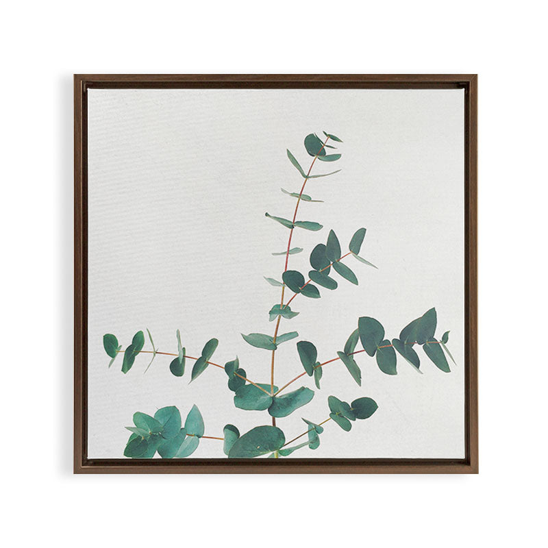 Eucalyptus Framed Canvas Print Gallery Image 11