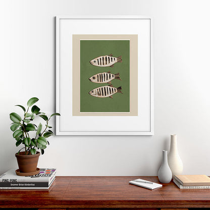 Abstract Fish Study II Framed Art Print Gallery Image 56