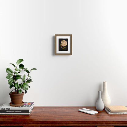 The Mimosa 1 Framed Art Print Gallery Image 8