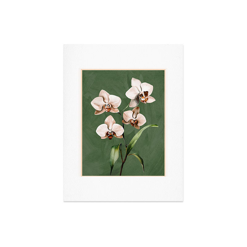 White Orchid Floral Art 4 Art Print Gallery Image 6