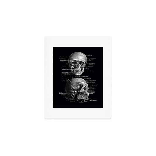 Skull Anatomy - Dark Version Art Print Gallery Image 1