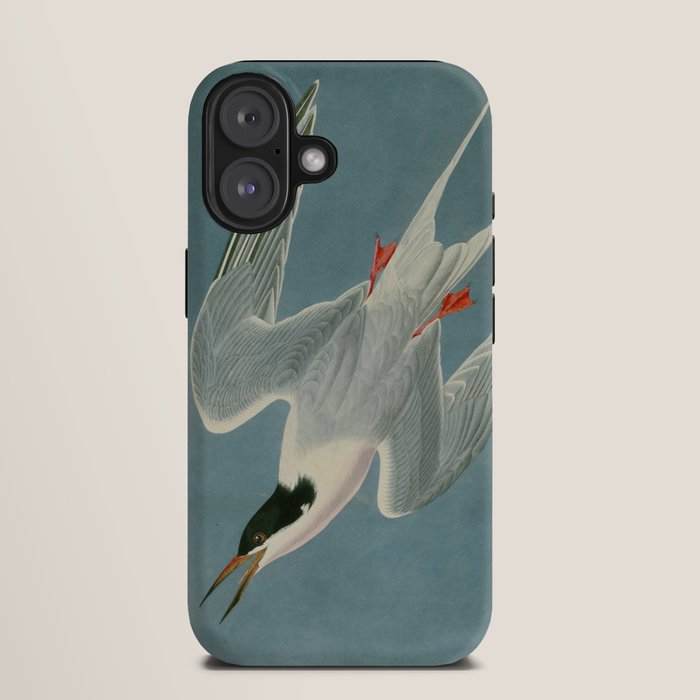 Roseate Tern - John James Audubon Birds of America iPhone Case Gallery Image 9