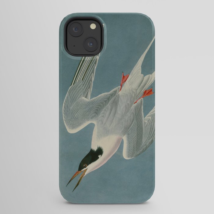 Roseate Tern - John James Audubon Birds of America iPhone Case Gallery Image 22