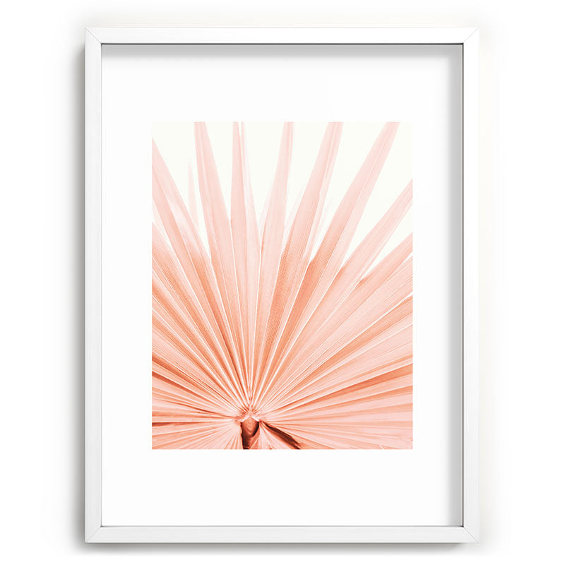 Blush Pink Fan Palm Framed Art Print Gallery Image 78