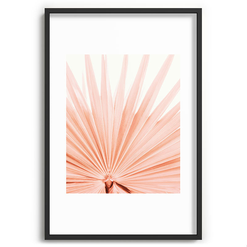 Blush Pink Fan Palm Framed Art Print Gallery Image 62