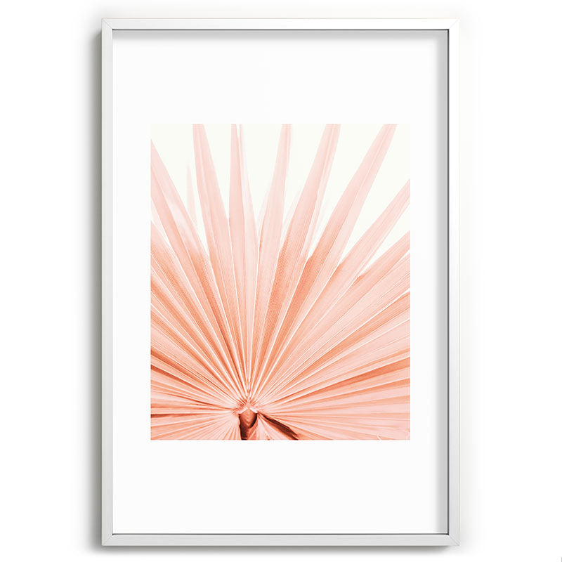 Blush Pink Fan Palm Framed Art Print Gallery Image 80