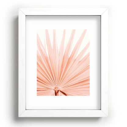 Blush Pink Fan Palm Framed Art Print Gallery Image 76
