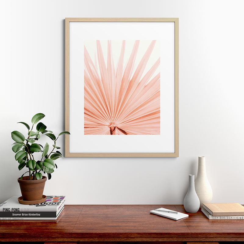 Blush Pink Fan Palm Framed Art Print Gallery Image 49