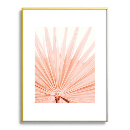 Blush Pink Fan Palm Framed Art Print Gallery Image 92
