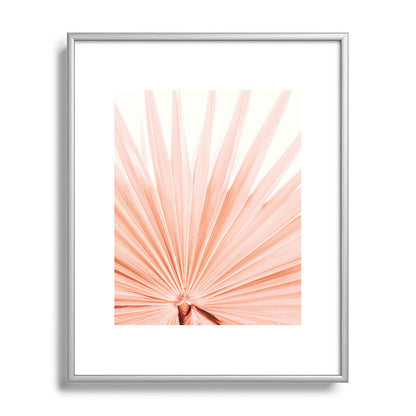 Blush Pink Fan Palm Framed Art Print Gallery Image 95