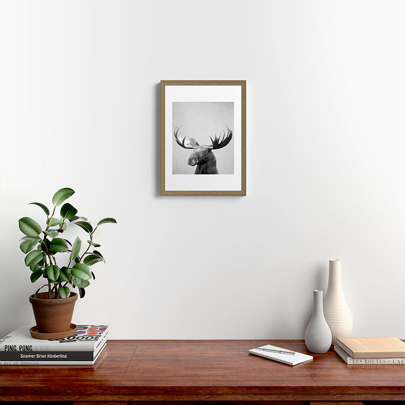 Moose - Black & White Framed Art Print Gallery Image 14