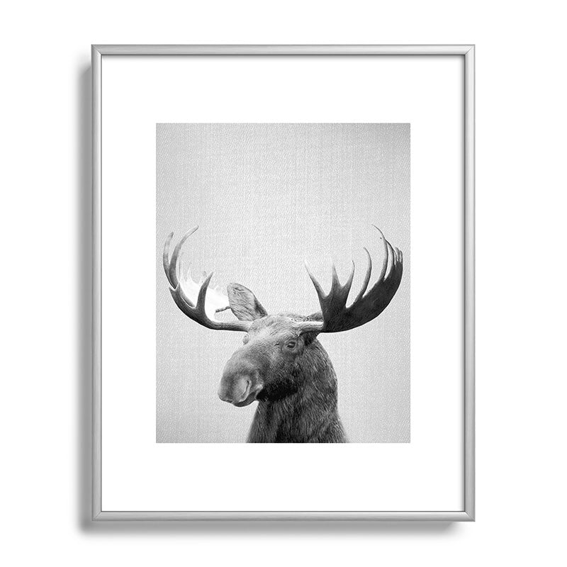 Moose - Black & White Framed Art Print Gallery Image 131