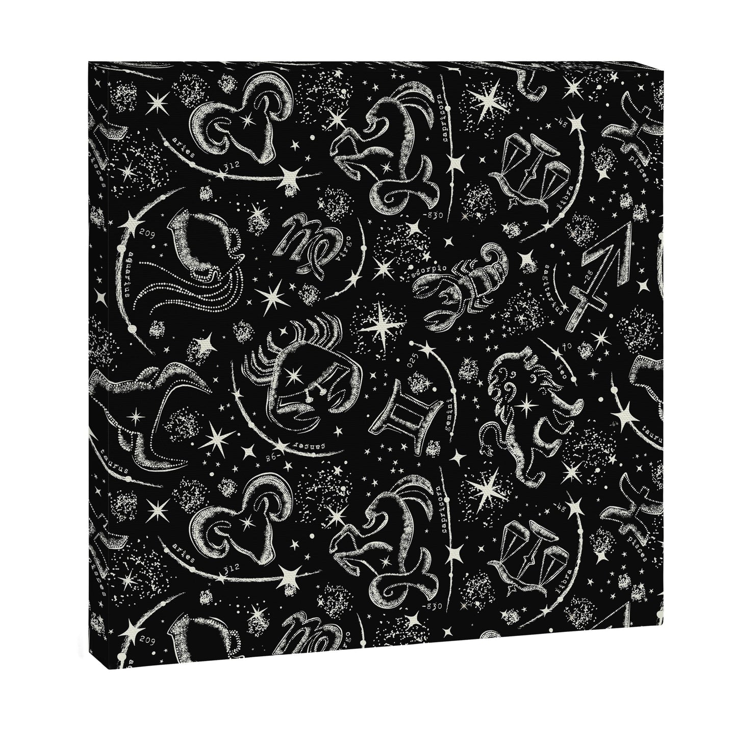 Star Child Canvas Print Gallery Image 2