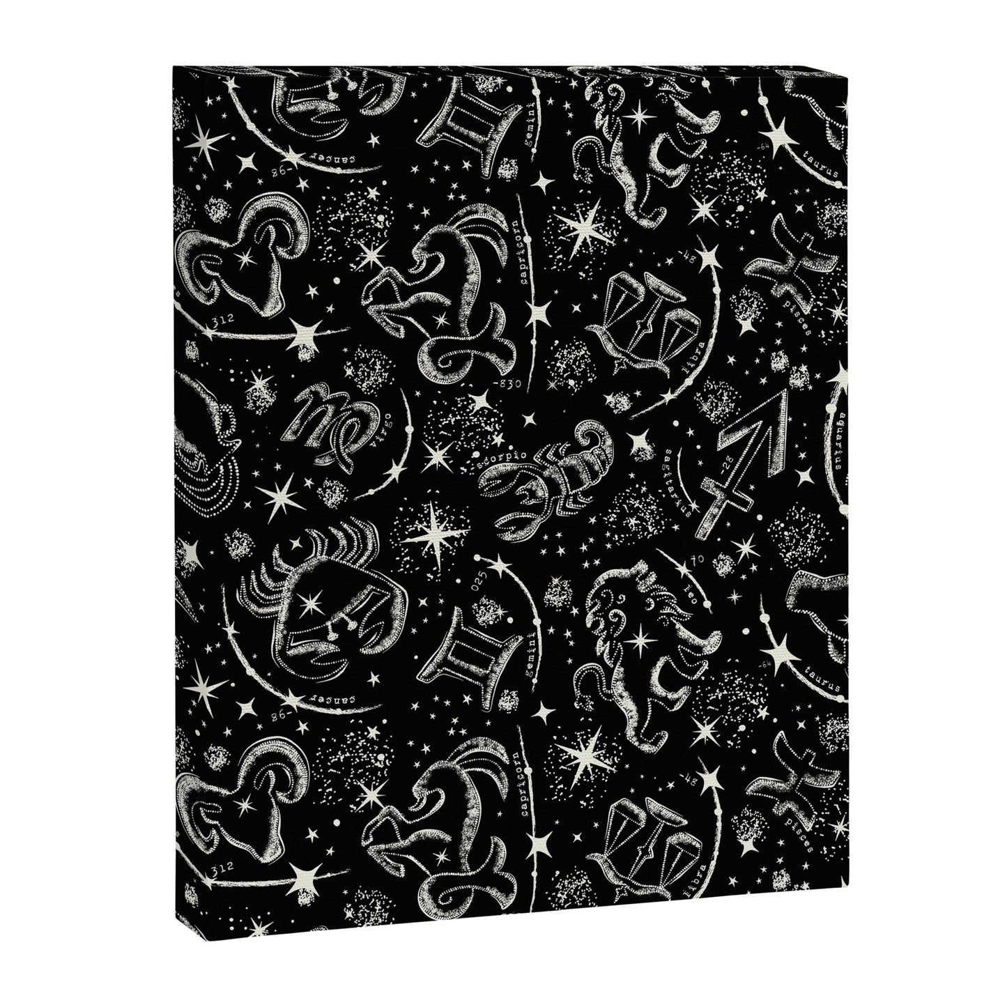 Star Child Canvas Print Gallery Image 4