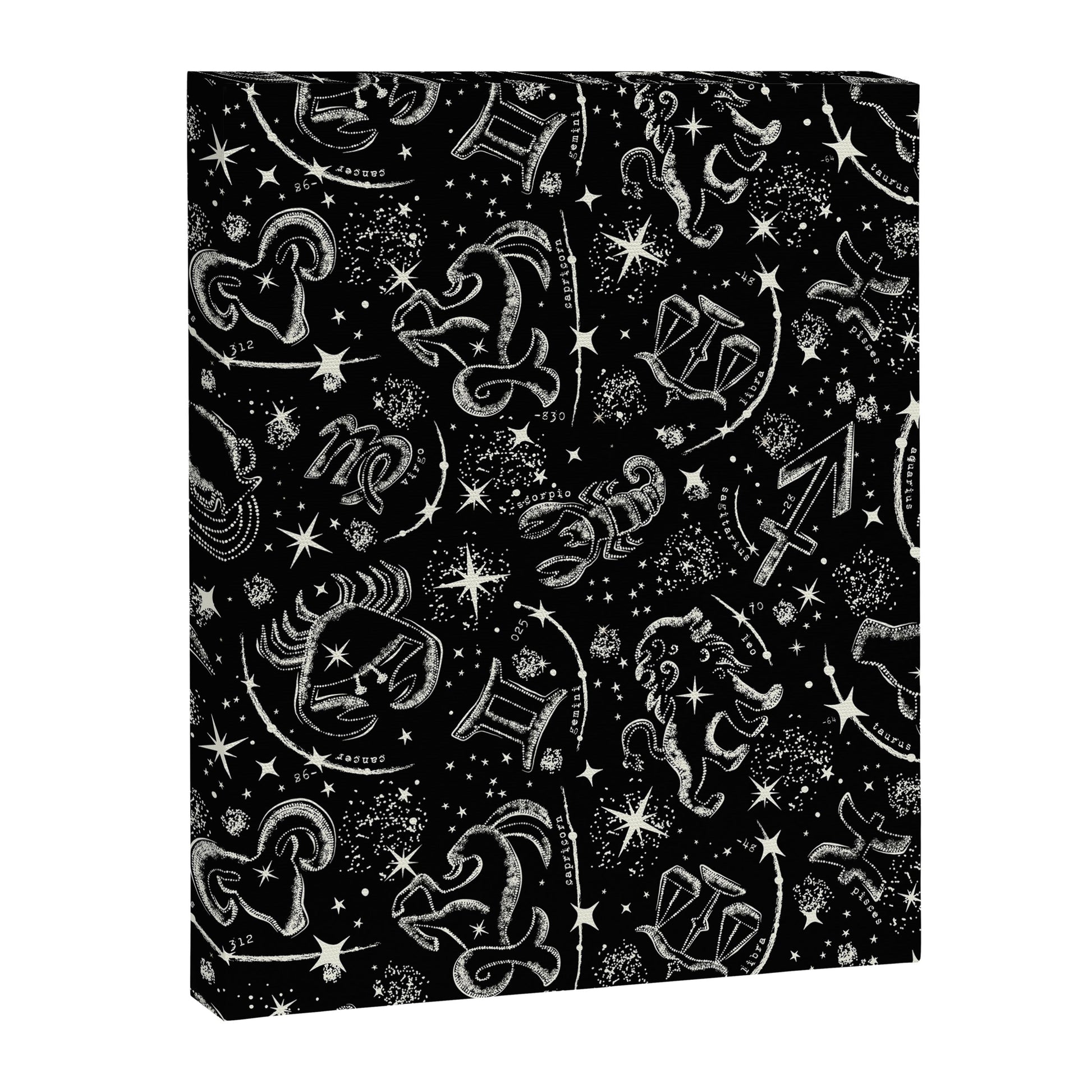 Star Child Canvas Print Gallery Image 4