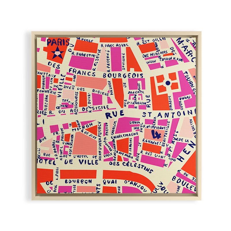 paris map pink Framed Canvas Print Gallery Image 20