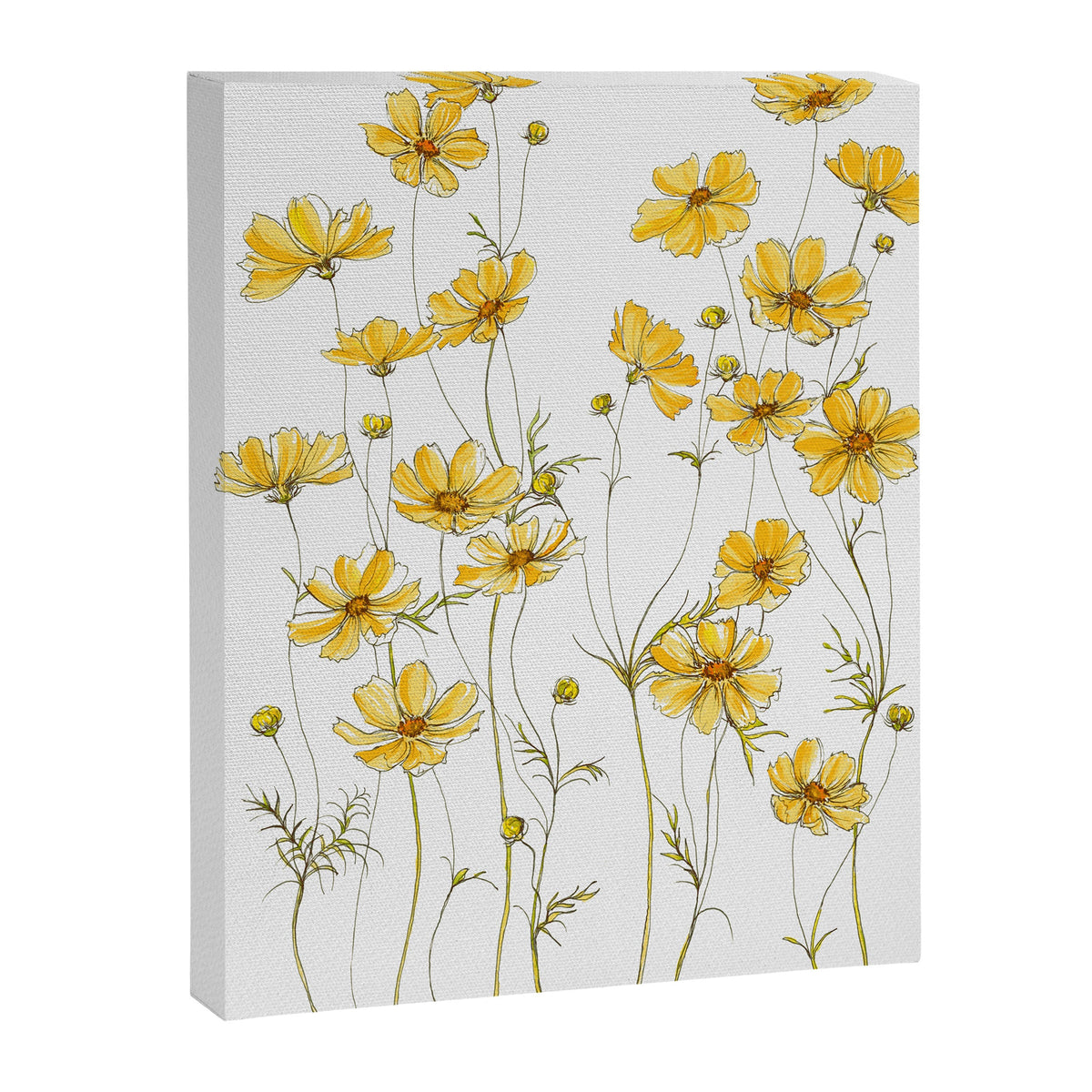 Yellow Cosmos Flowers Canvas Print Gallery Image 5