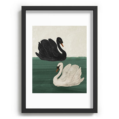Black Swan White Swan Framed Art Print Gallery Image 34