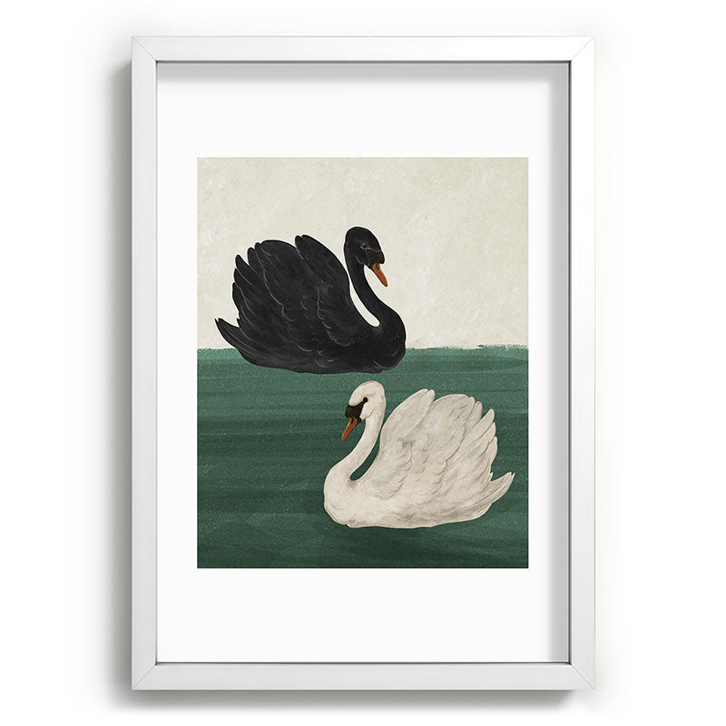 Black Swan White Swan Framed Art Print Gallery Image 46