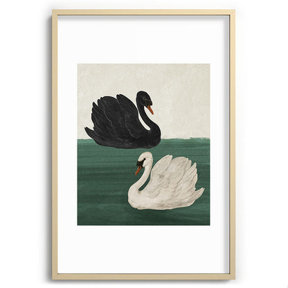 Black Swan White Swan Framed Art Print Gallery Image 44