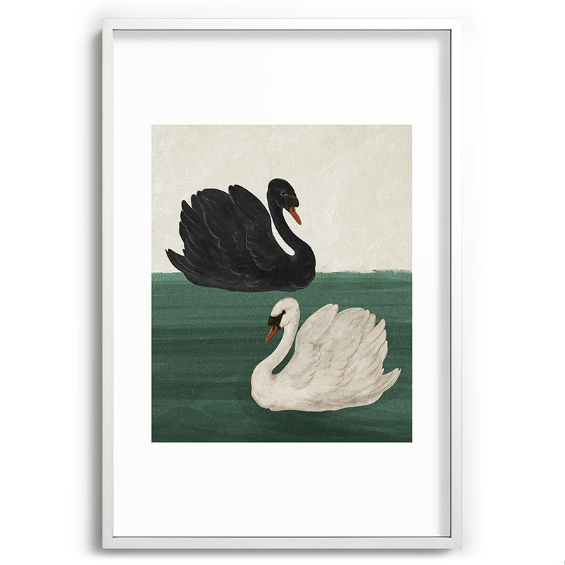 Black Swan White Swan Framed Art Print Gallery Image 48