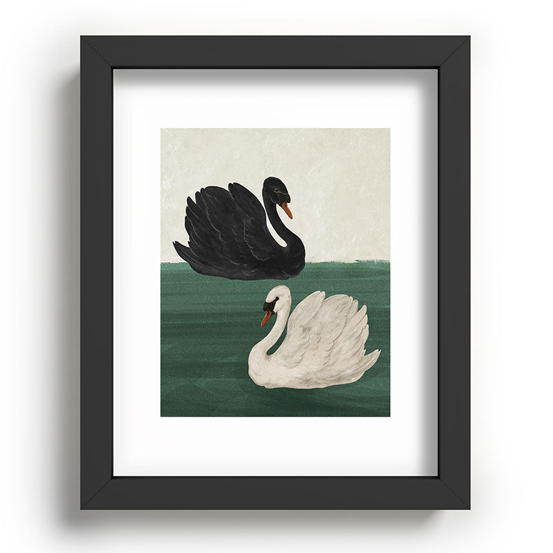 Black Swan White Swan Framed Art Print Gallery Image 33