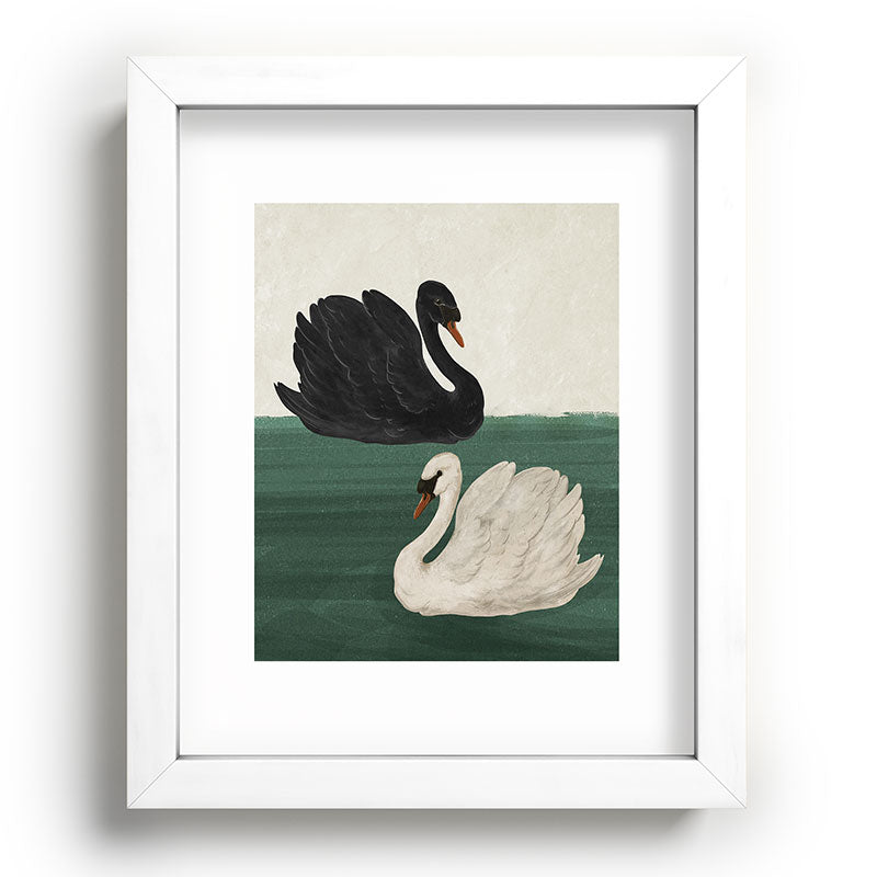 Black Swan White Swan Framed Art Print Gallery Image 45