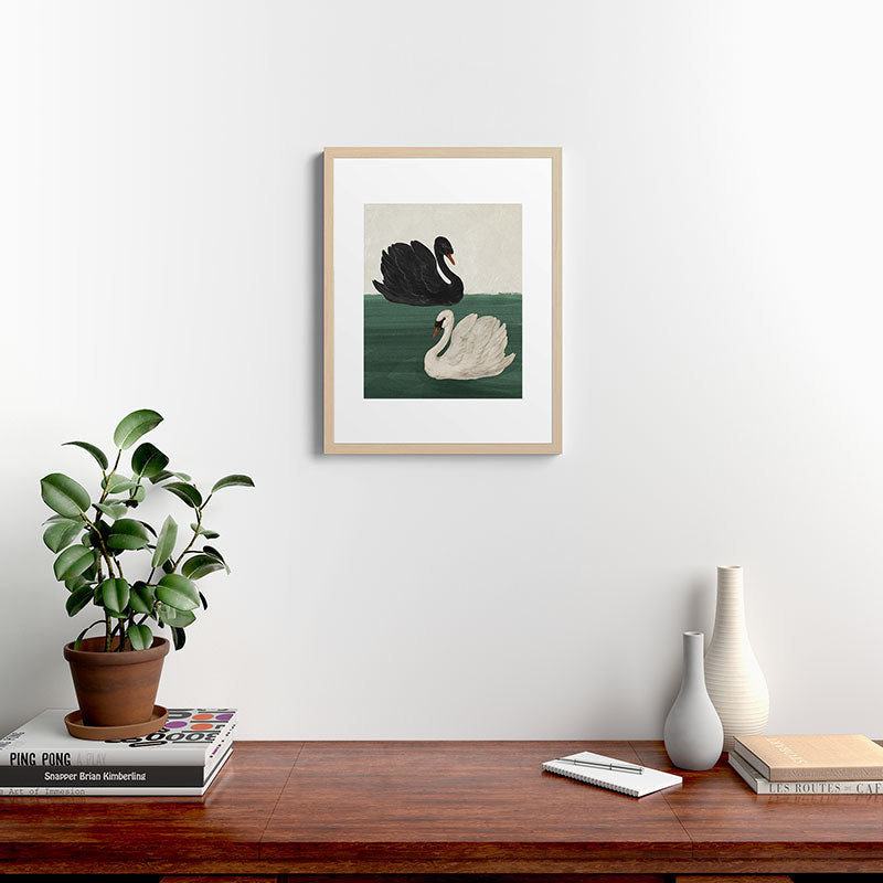 Black Swan White Swan Framed Art Print Gallery Image 11