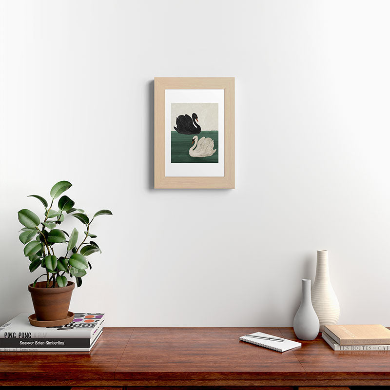 Black Swan White Swan Framed Art Print Gallery Image 26