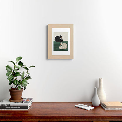 Black Swan White Swan Framed Art Print Gallery Image 26