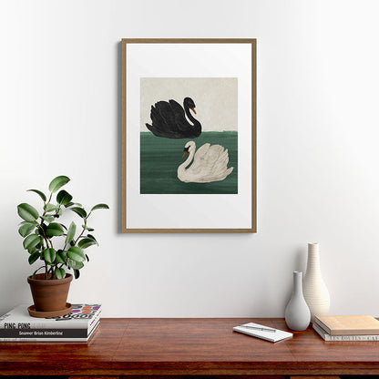 Black Swan White Swan Framed Art Print Gallery Image 8