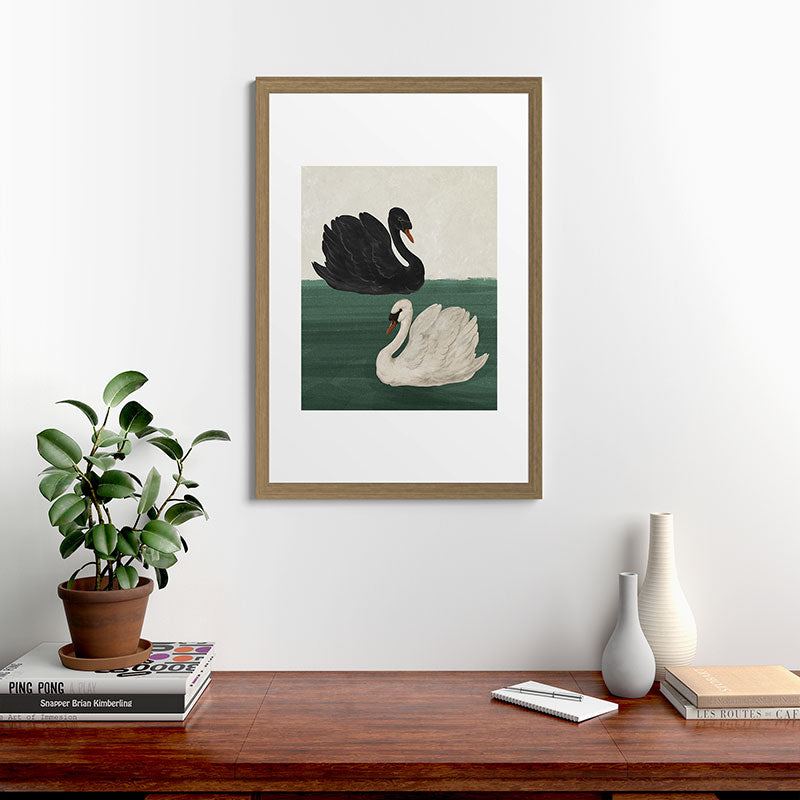 Black Swan White Swan Framed Art Print Gallery Image 24