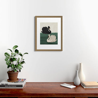 Black Swan White Swan Framed Art Print Gallery Image 23