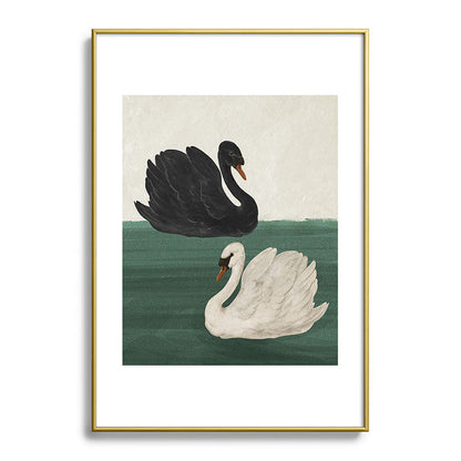 Black Swan White Swan Framed Art Print Gallery Image 54