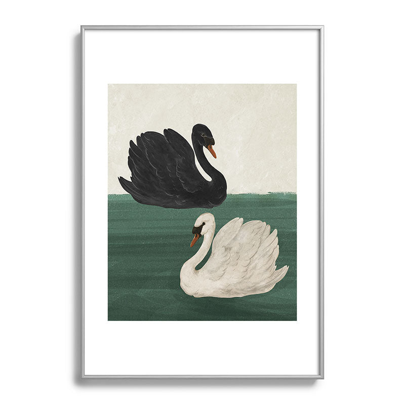 Black Swan White Swan Framed Art Print Gallery Image 58