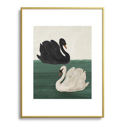 Black Swan White Swan Framed Art Print Gallery Image 55