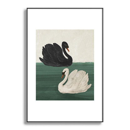 Black Swan White Swan Framed Art Print Gallery Image 52