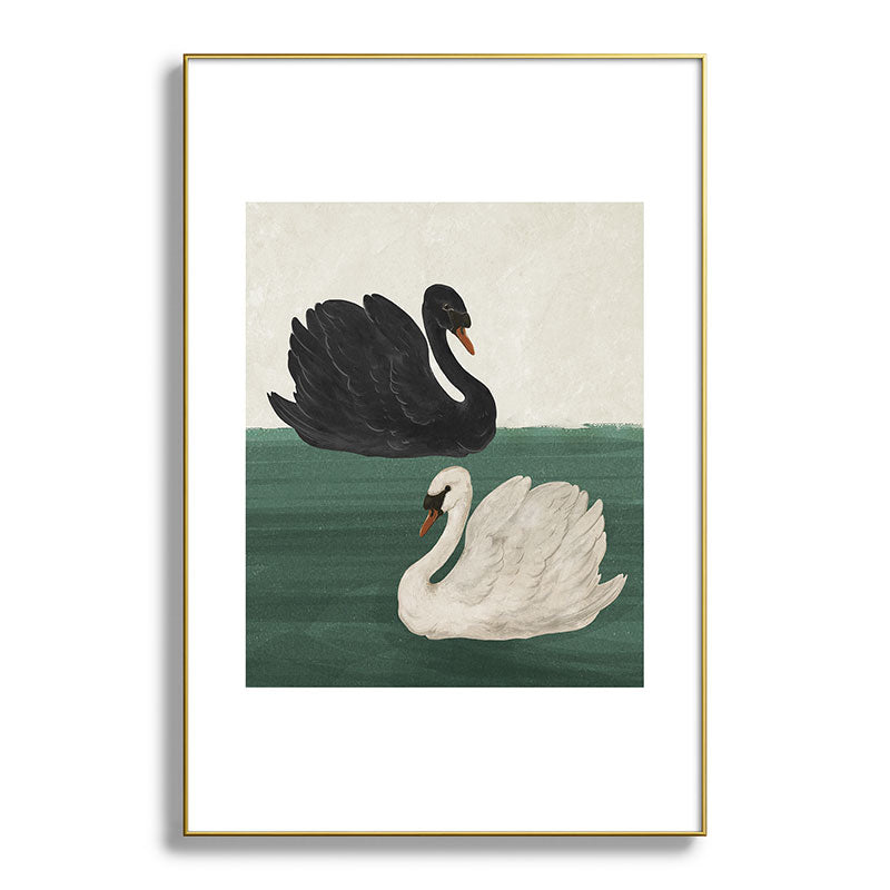 Black Swan White Swan Framed Art Print Gallery Image 56