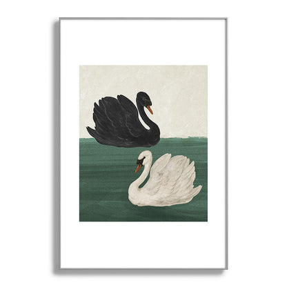 Black Swan White Swan Framed Art Print Gallery Image 60