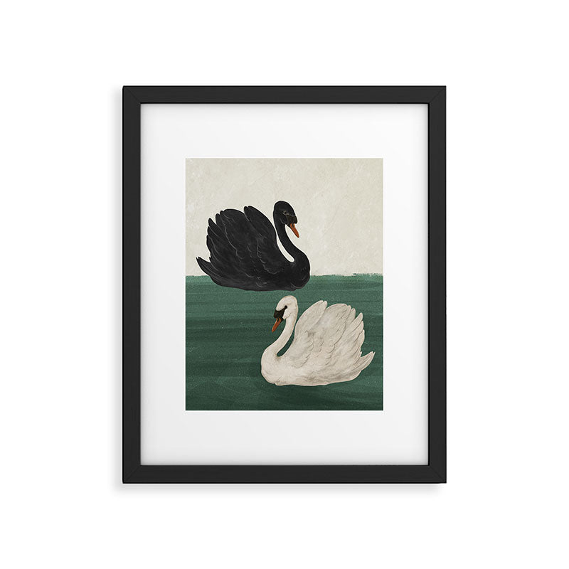Black Swan White Swan Framed Art Print Gallery Image 3