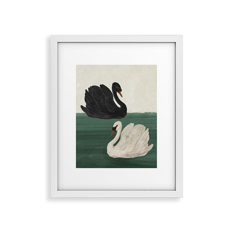 Black Swan White Swan Framed Art Print Gallery Image 15